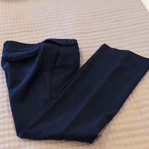 LOFT Deep Blue Dress Pants
